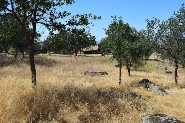 Lilley Mountain Dr, Coarsegold, CA 93614