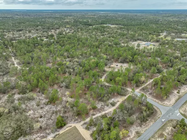 Dunnellon, FL 34433-2925,3057 W Scooter Ln