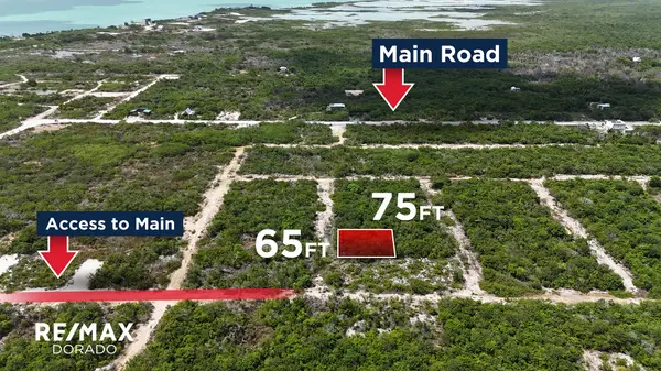 Muilti-purpose Secrete beach Property, San Pedro Belize,