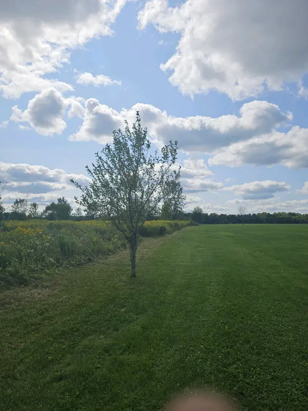 Antler Trl, Imlay City, MI 48444