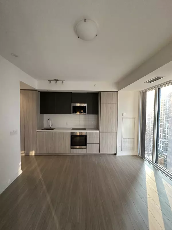 Toronto, ON M5V 0W6,8 Widmer St #2705