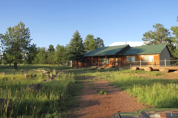 143 Ring Rd, Guffey, CO 80820-9602