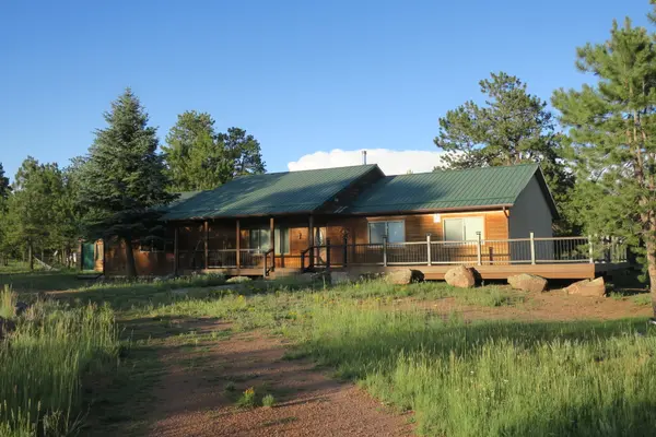 143 Ring Rd, Guffey, CO 80820-9602