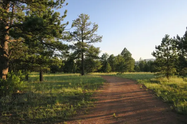 143 Ring Rd, Guffey, CO 80820-9602