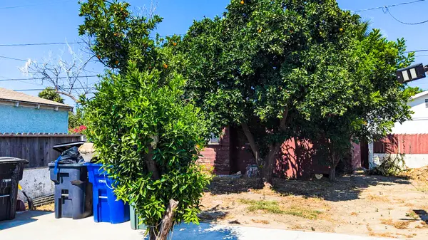 10313 San Vincente Ave, South Gate, CA 90280-6649