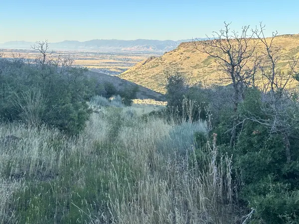 7852 W Shaggy Mountain Rd, Herriman, UT 84096-4466