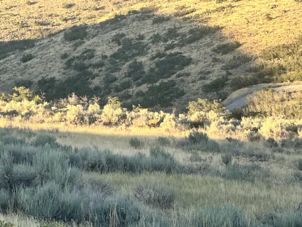 7846 W Step Mountain Rd, Herriman, UT 84096