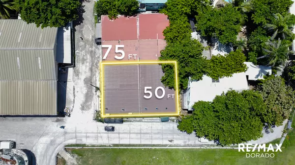 Bussiness Property for sale In San Pedro Town