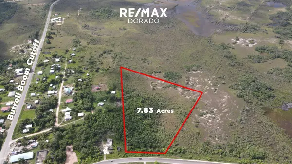 George Price Highway, Belize C.a.,