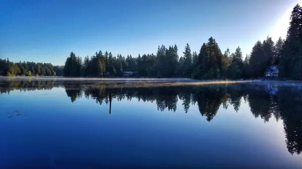 25432 SE 28th St, Sammamish, WA 98075-6028