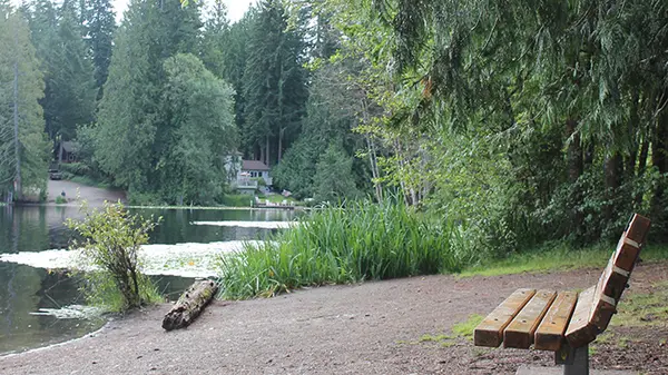 25432 SE 28th St, Sammamish, WA 98075-6028