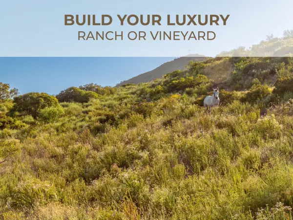 Laderas Valle de Guadalupe, Ensenada, Baja 22755