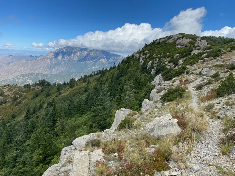 5407 Grays Peak Trl NE, Rio Rancho, NM 87144-1009