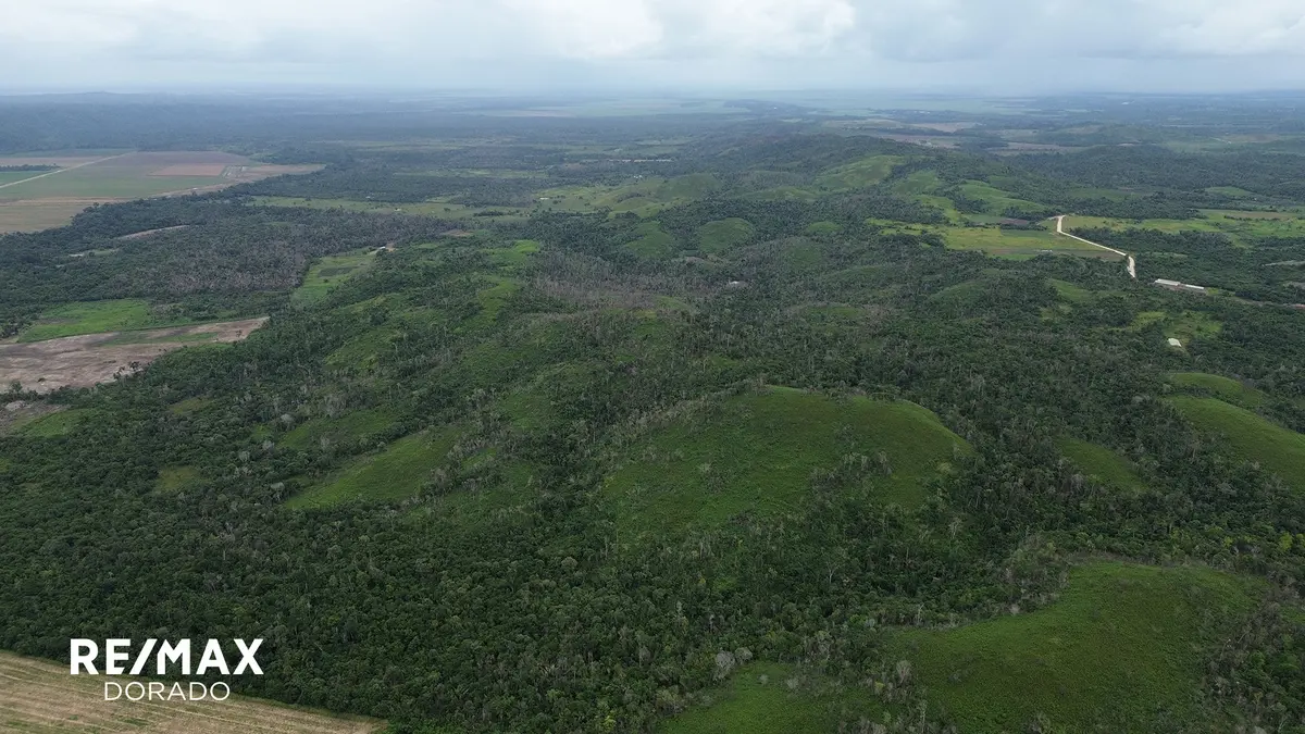 233+ Acres Yalbac Area, Cayo District.,