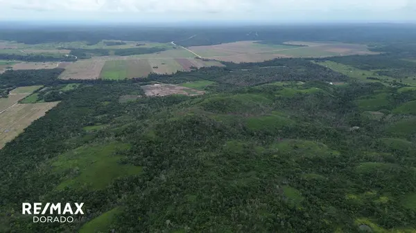 233+ Acres Yalbac Area, Cayo District.,