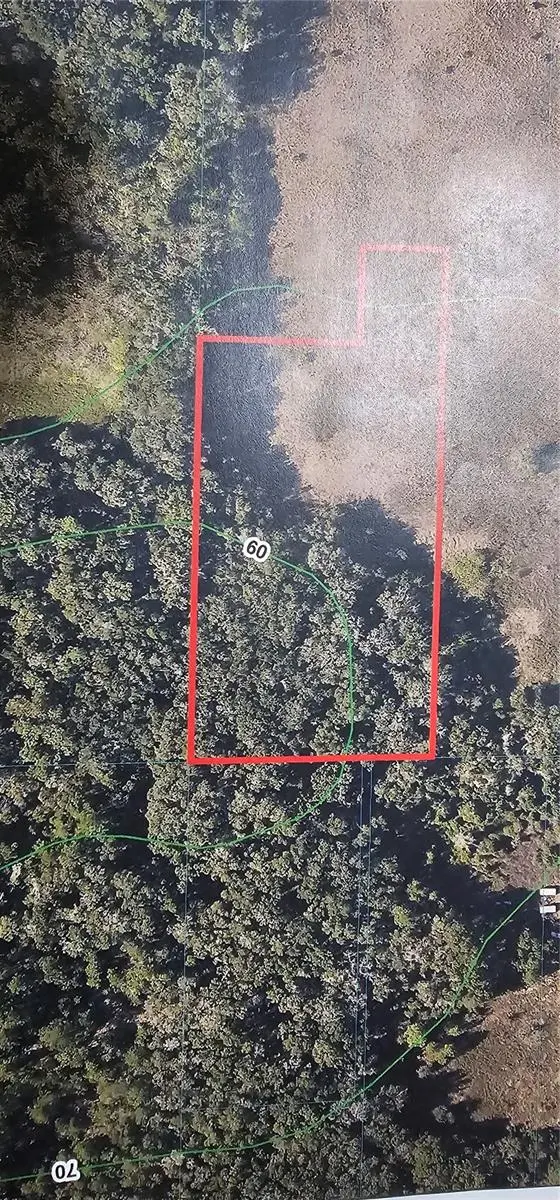 NW 38th Avenue Rd, Ocala, FL 34475