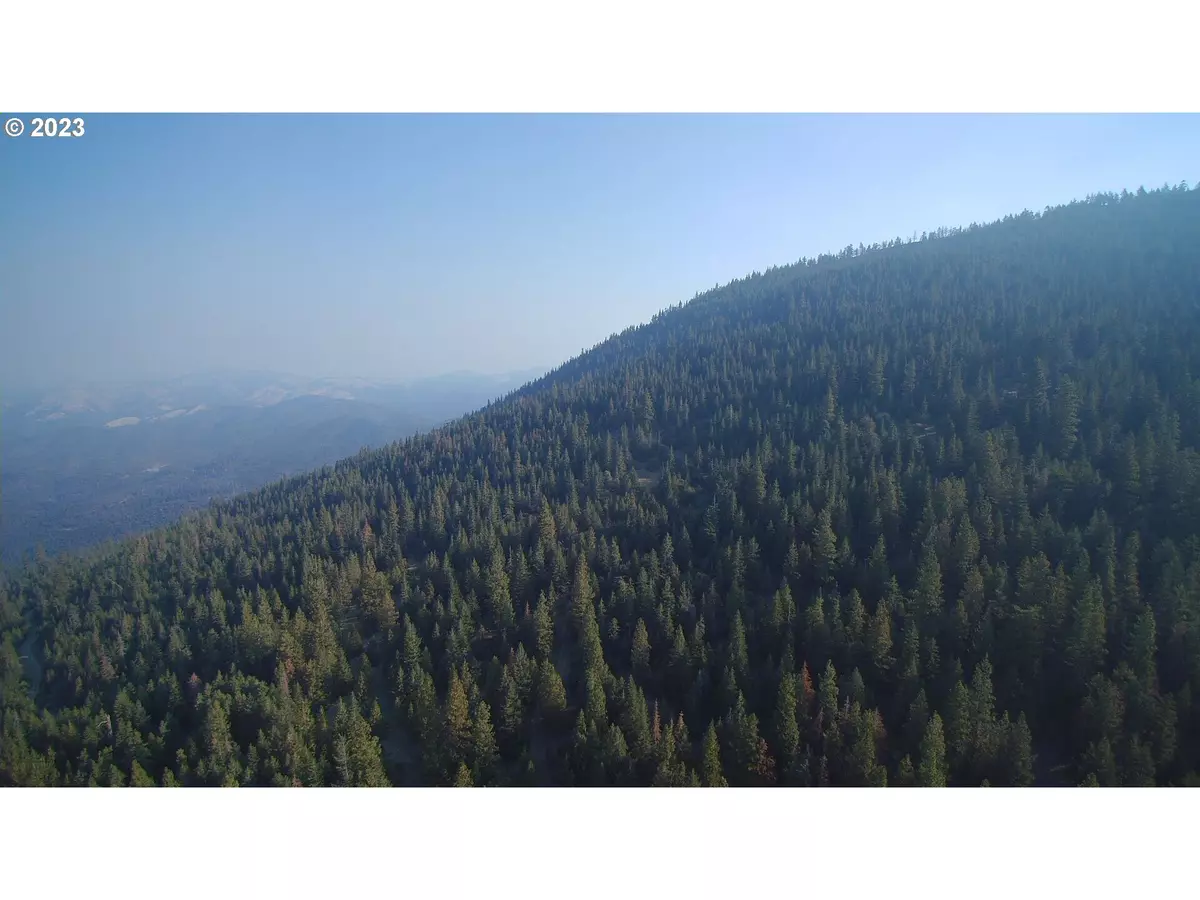 Jacksonville, OR 97530,Yale Creek Rd