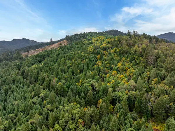 Wolf Creek, OR 97497-8760,486 Dog Creek Rd