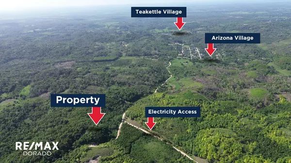 🌿 50-Acre Land Near Arizona Village, Belize – Endless Possibilities Await! 🌿, 