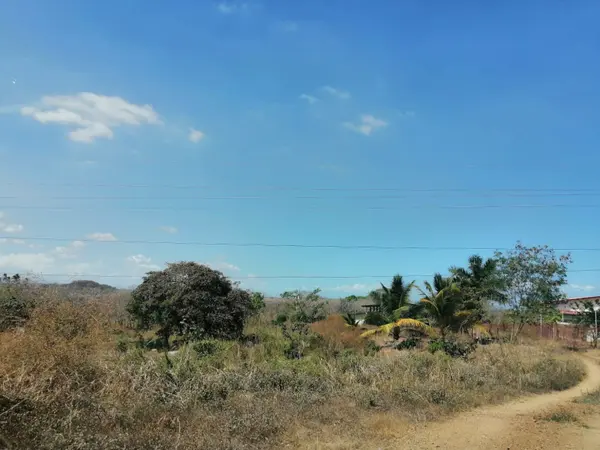 Parita