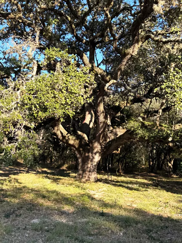 8003 CR 122 Hallettsville TX 77964, 