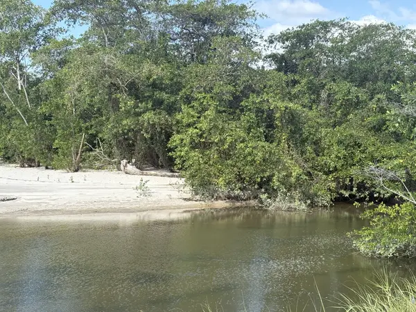 San Carlos
