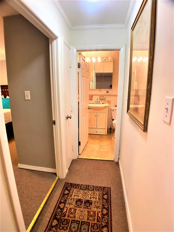 171 South St #3A, Jamaica Plain, MA 02130-3919