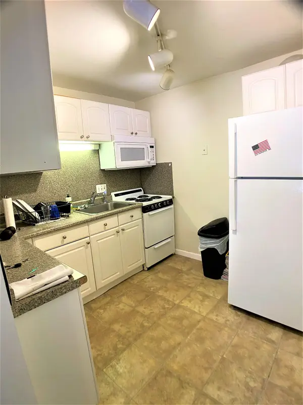 171 South St #3A, Jamaica Plain, MA 02130-3919