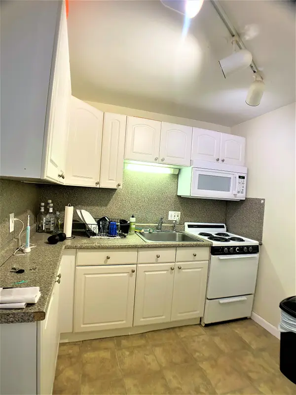 171 South St #3A, Jamaica Plain, MA 02130-3919