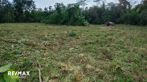 Ultimate Land Banking Opportunity in Belmopan