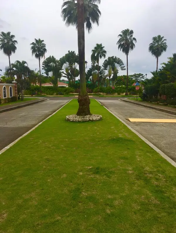 Costa del Este