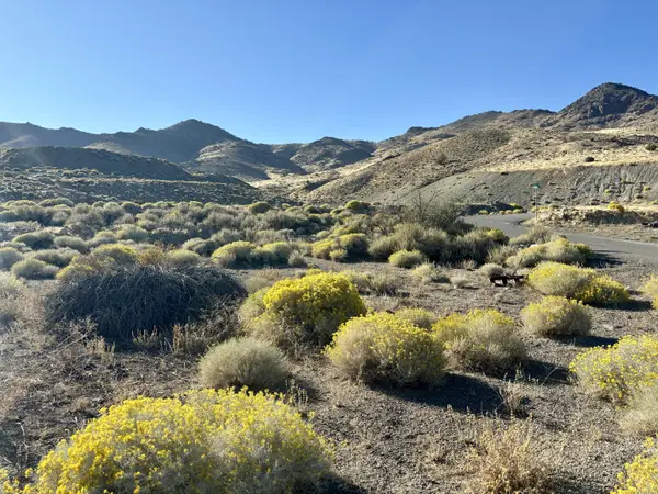 1 Sheep Camp Dr, Dayton, NV 89403