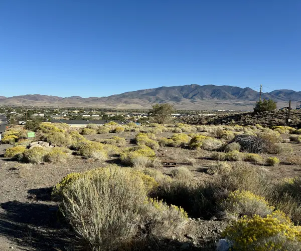 1 Sheep Camp Dr, Dayton, NV 89403