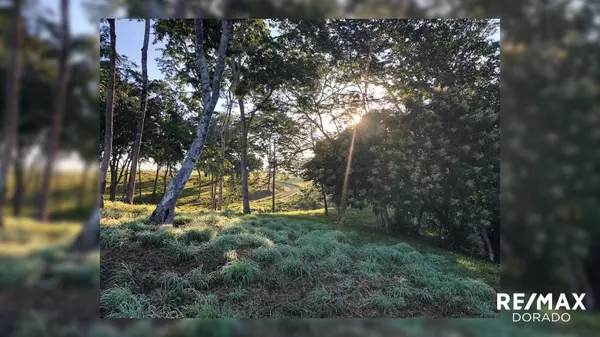 Cayo District,,The Ultimate Country side living experience! Santa Familia Village