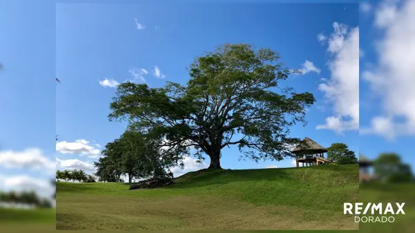 The Ultimate Country side living experience! Santa Familia Village, Cayo District,
