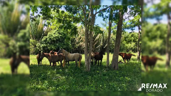 The Ultimate Country side living experience! Santa Familia Village, Cayo District, 