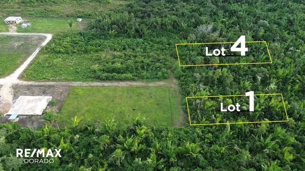 Valley Of Peace Road 1/4 acres Lots