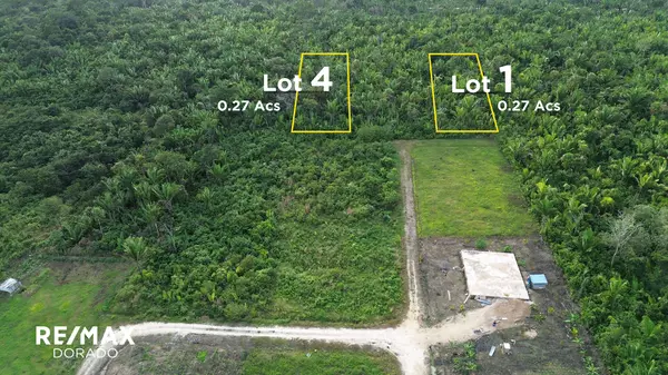 Valley Of Peace Road 1/4 acres Lots, 