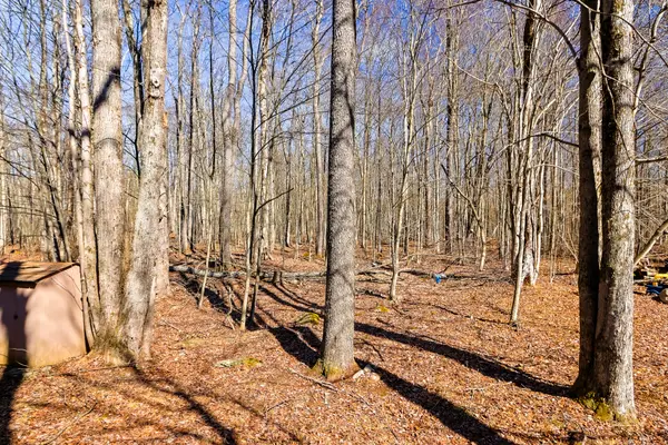 324 Stroud Ct, Pocono Lake, PA 18347-8229