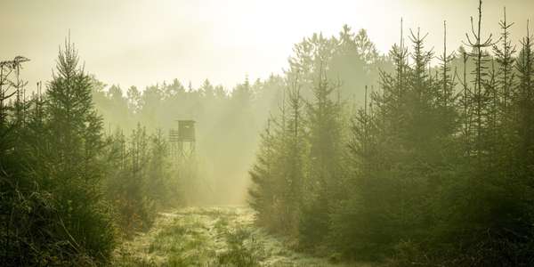 background banner