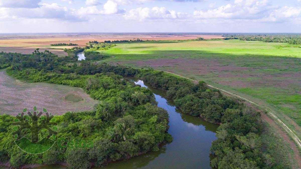 BMLS-1034 425 Acres Investment Opportunity