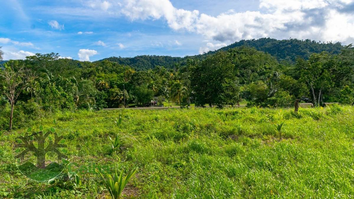 BMLS-1033 Terrain Property