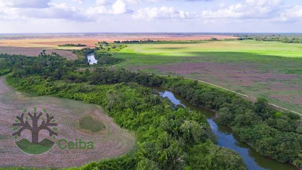 BMLS-1034 425 Acres Investment Opportunity