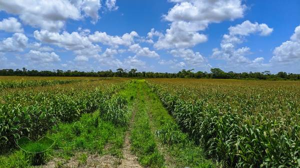 BMLS-1034 425 Acres Investment Opportunity