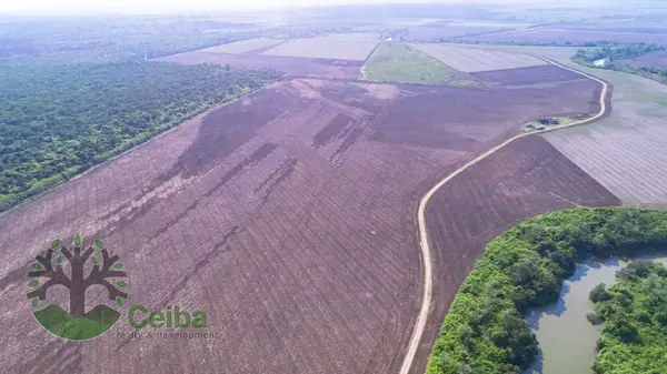 BMLS-1034 425 Acres Investment Opportunity