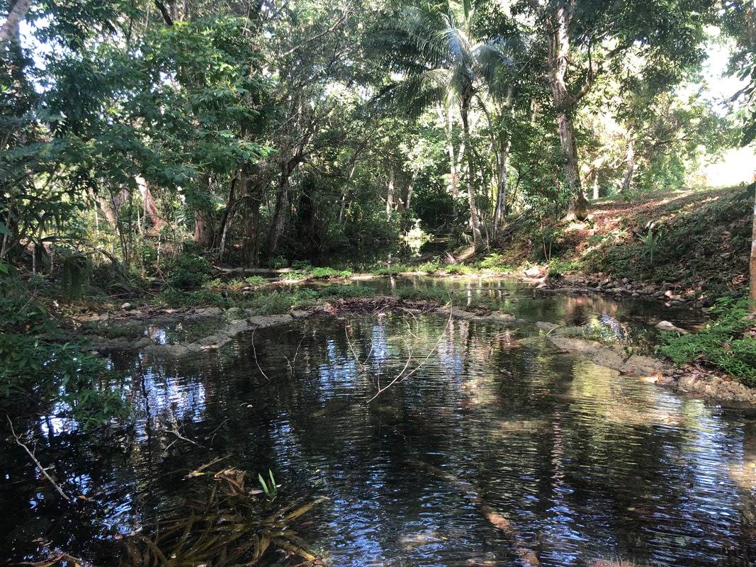 BMLS-1038 Little Batton Creek