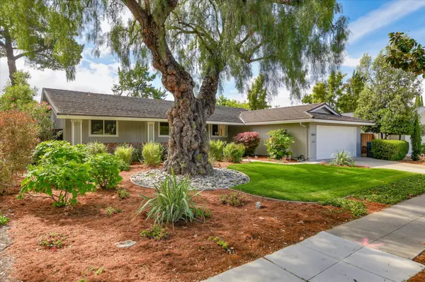 1443 Hollenbeck Avenue, Sunnyvale, CA 94087