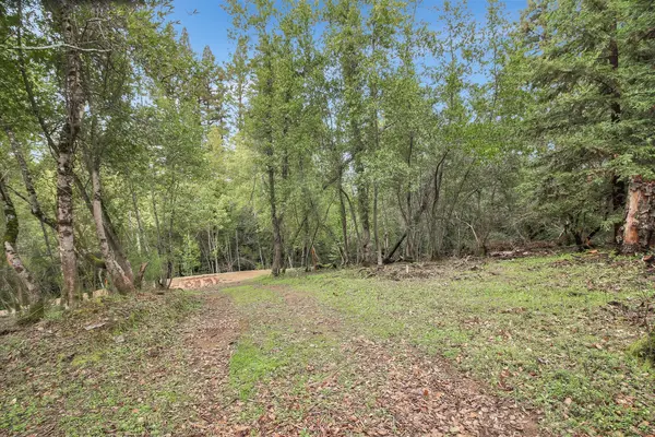 Idylwild Road, Lexington Hills, CA 95033