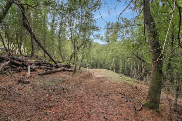 Idylwild Road, Lexington Hills, CA 95033