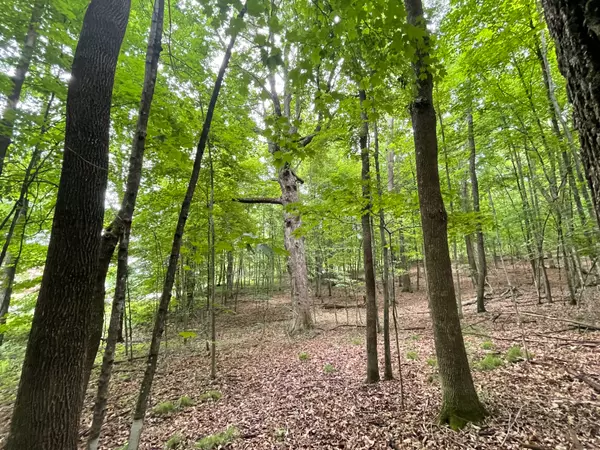 Lot 165 Black Forest Dr 